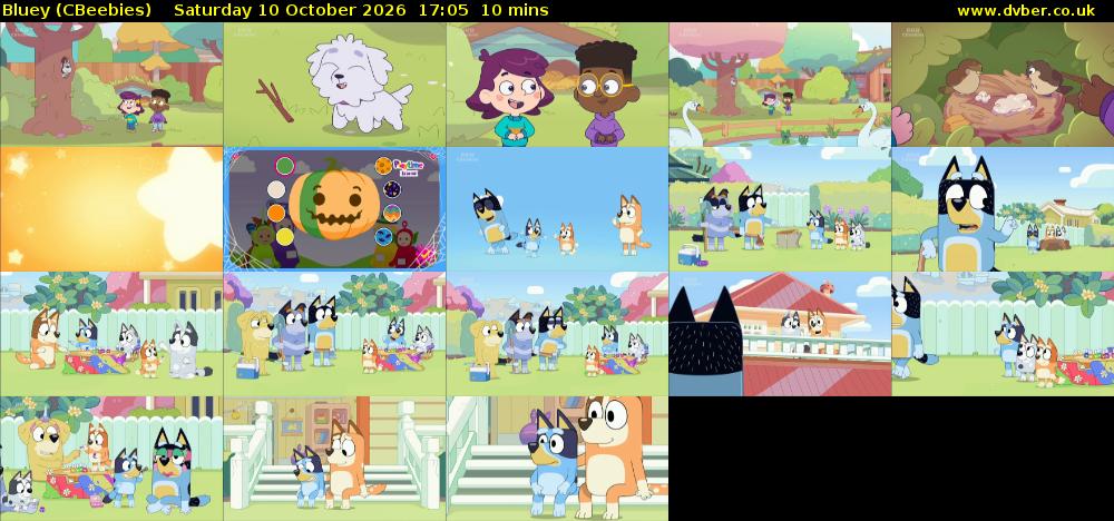 Bluey (CBeebies) Saturday 10 October 2026 17:05 - 17:15