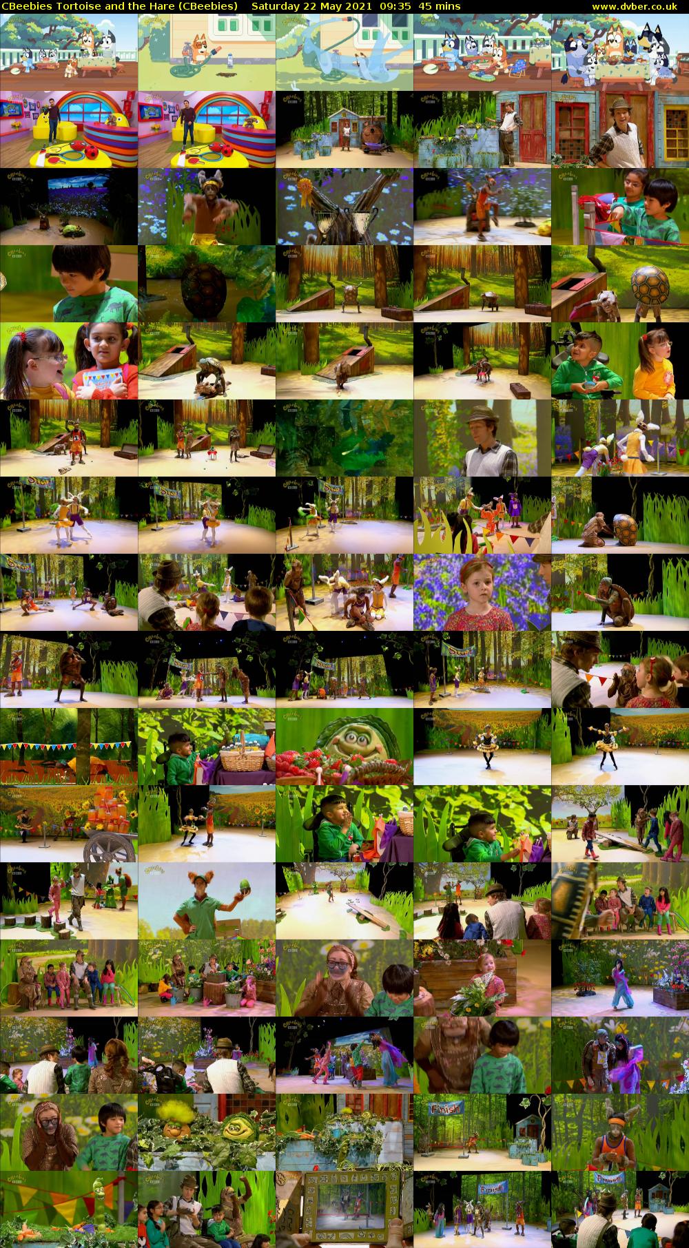 CBeebies Tortoise and the Hare (CBeebies) Saturday 22 May 2021 09:35 - 10:20
