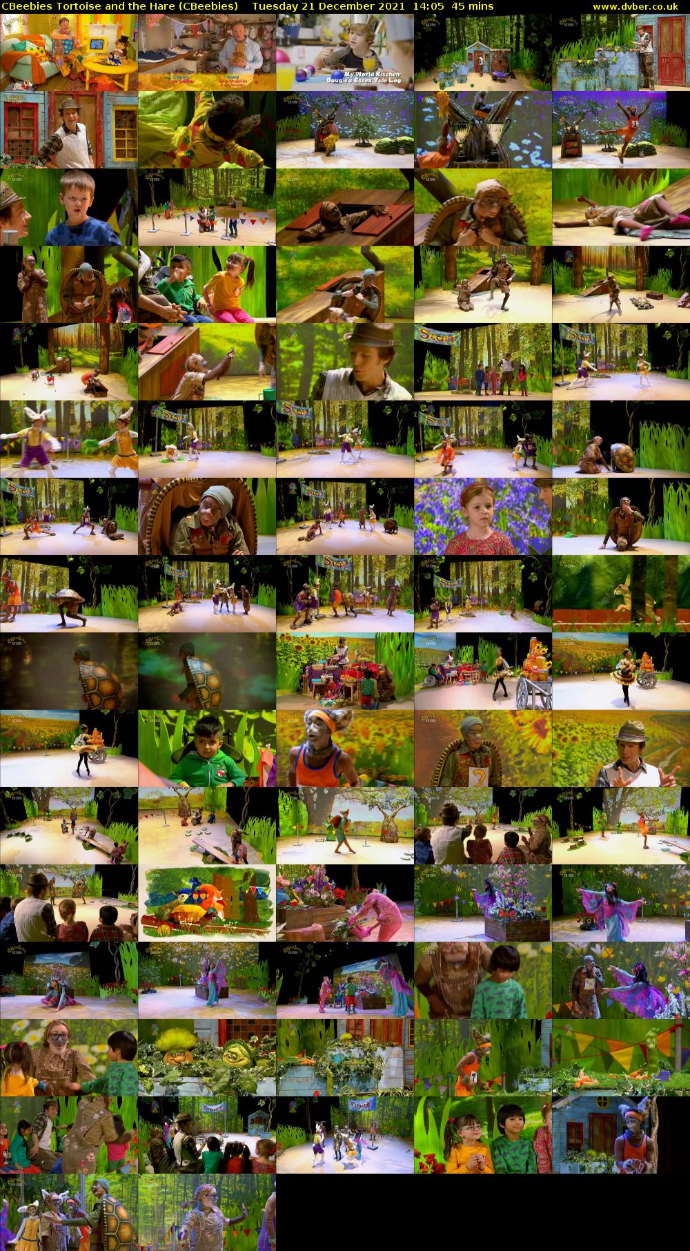 CBeebies Tortoise and the Hare (CBeebies) Tuesday 21 December 2021 14:05 - 14:50