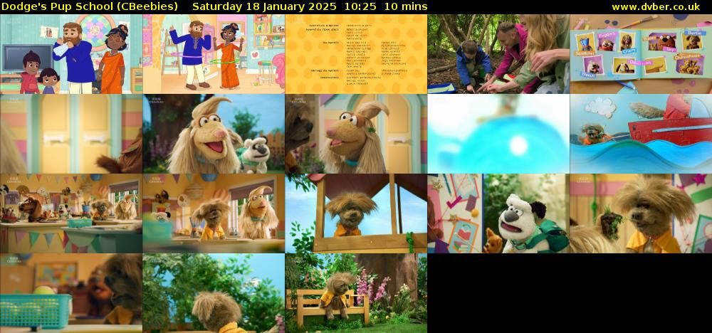 Dodge's Pup School (CBeebies) Saturday 18 January 2025 10:25 - 10:35