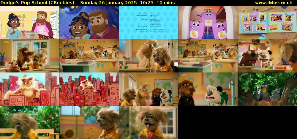Dodge's Pup School (CBeebies) Sunday 26 January 2025 10:25 - 10:35