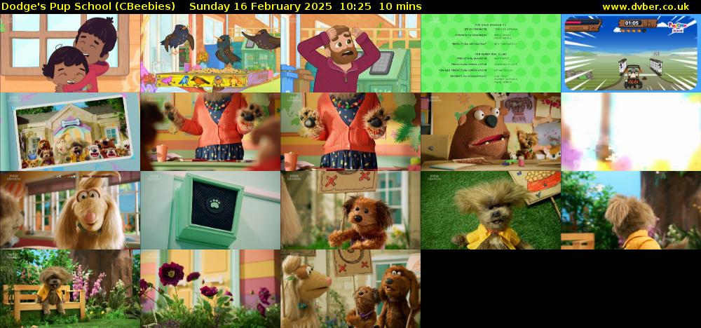 Dodge's Pup School (CBeebies) Sunday 16 February 2025 10:25 - 10:35
