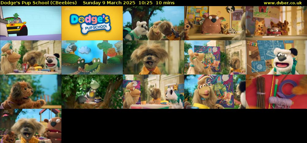 Dodge's Pup School (CBeebies) Sunday 9 March 2025 10:25 - 10:35