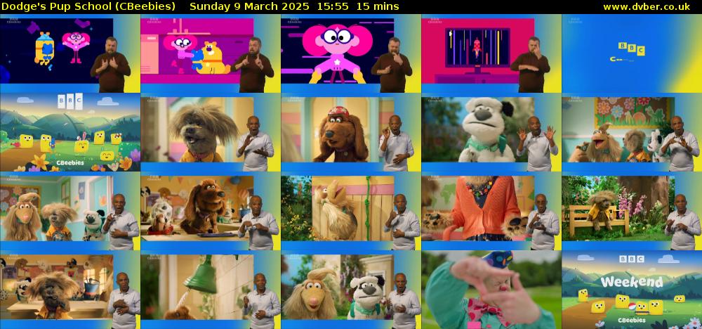 Dodge's Pup School (CBeebies) Sunday 9 March 2025 15:55 - 16:10