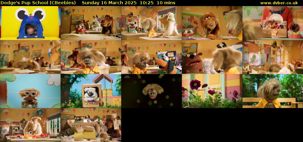 Dodge's Pup School (CBeebies) Sunday 16 March 2025 10:25 - 10:35