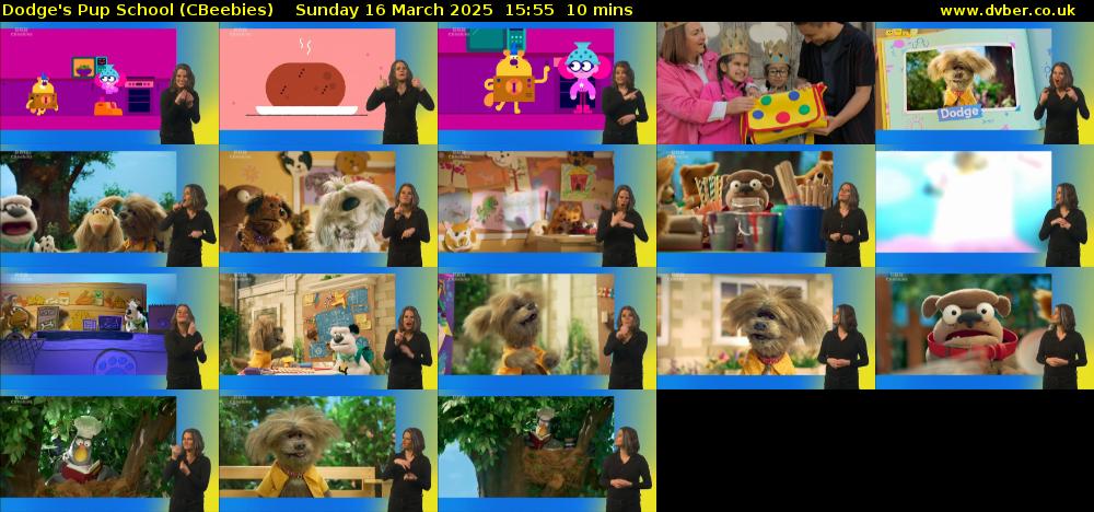 Dodge's Pup School (CBeebies) Sunday 16 March 2025 15:55 - 16:05