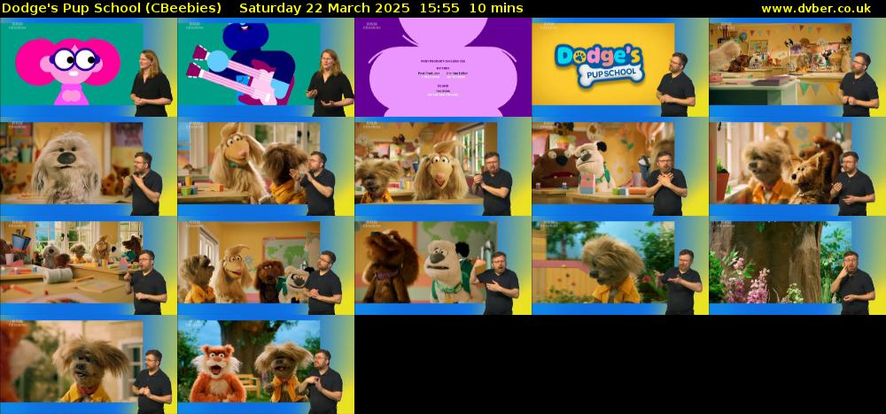 Dodge's Pup School (CBeebies) Saturday 22 March 2025 15:55 - 16:05