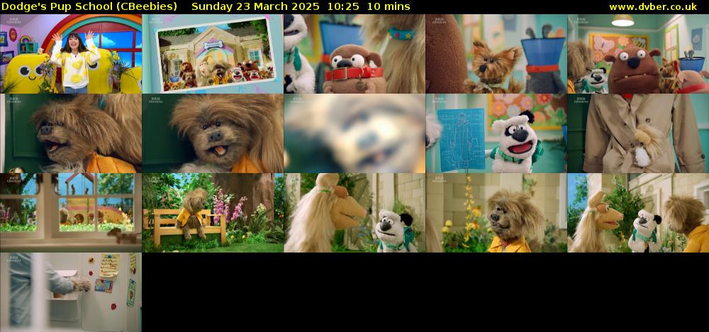 Dodge's Pup School (CBeebies) Sunday 23 March 2025 10:25 - 10:35