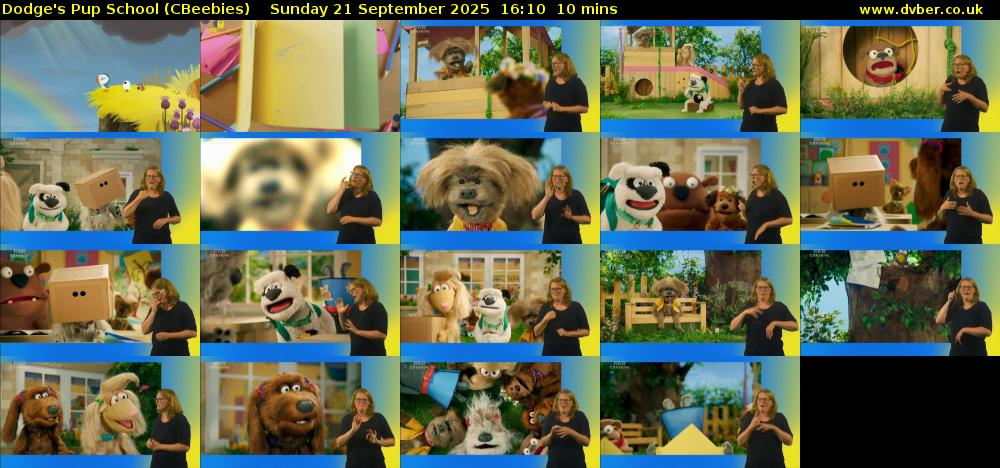 Dodge's Pup School (CBeebies) Sunday 21 September 2025 16:10 - 16:20