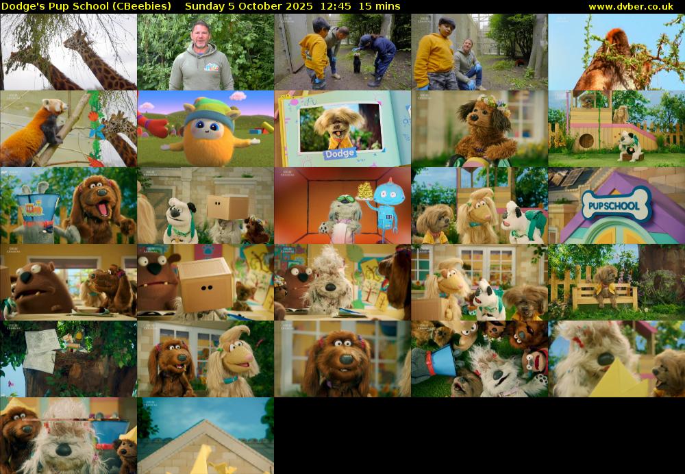 Dodge's Pup School (CBeebies) Sunday 5 October 2025 12:45 - 13:00