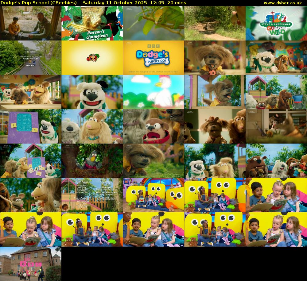 Dodge's Pup School (CBeebies) Saturday 11 October 2025 12:45 - 13:05