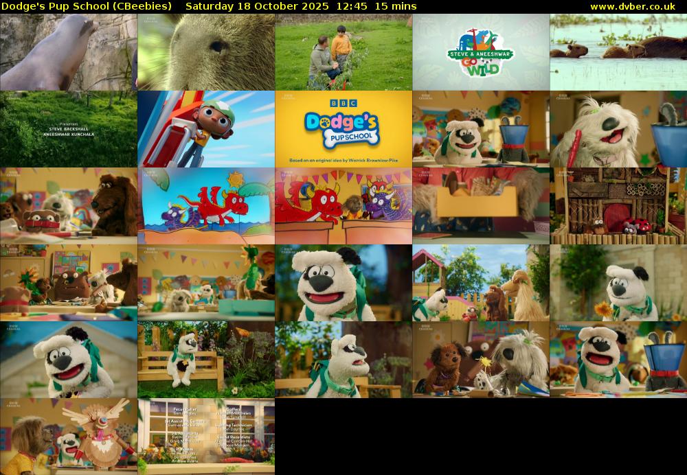 Dodge's Pup School (CBeebies) Saturday 18 October 2025 12:45 - 13:00