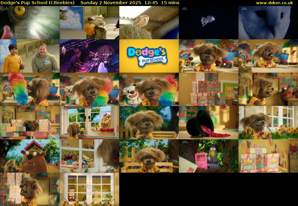 Dodge's Pup School (CBeebies) Sunday 2 November 2025 12:45 - 13:00