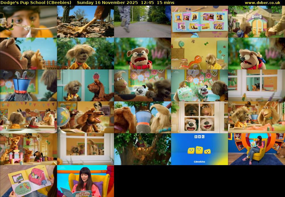 Dodge's Pup School (CBeebies) Sunday 16 November 2025 12:45 - 13:00