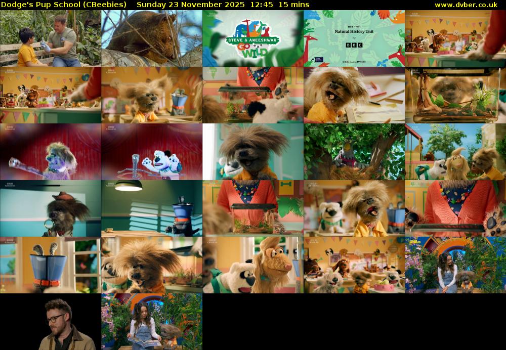 Dodge's Pup School (CBeebies) Sunday 23 November 2025 12:45 - 13:00