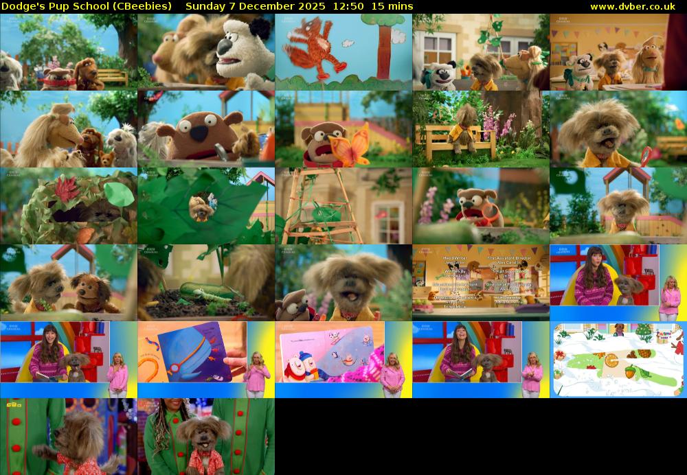 Dodge's Pup School (CBeebies) Sunday 7 December 2025 12:50 - 13:05