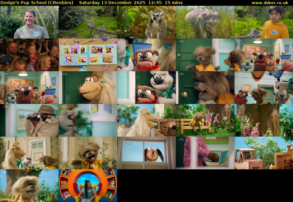 Dodge's Pup School (CBeebies) Saturday 13 December 2025 12:45 - 13:00