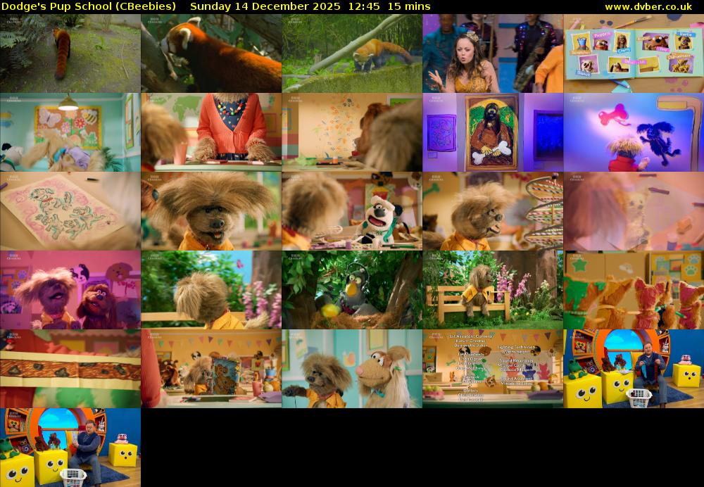 Dodge's Pup School (CBeebies) Sunday 14 December 2025 12:45 - 13:00