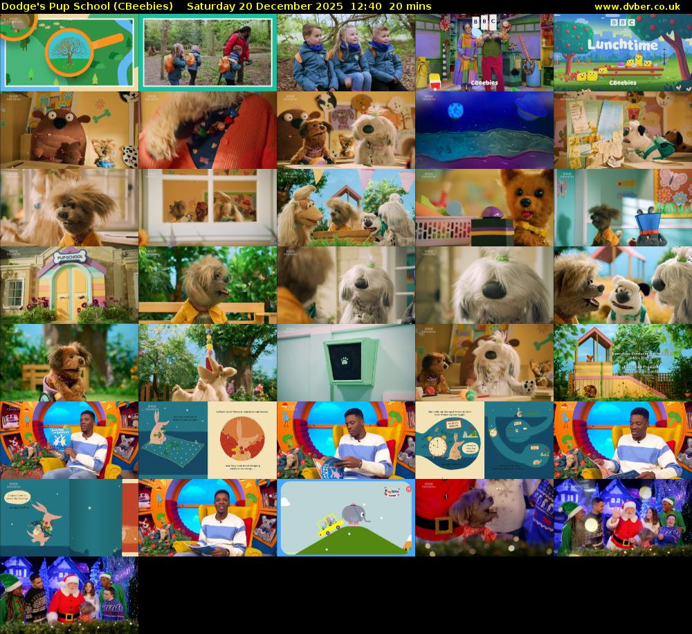 Dodge's Pup School (CBeebies) Saturday 20 December 2025 12:40 - 13:00