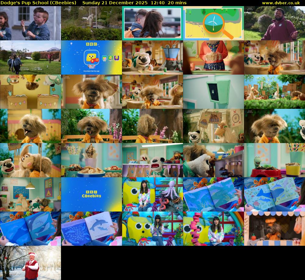Dodge's Pup School (CBeebies) Sunday 21 December 2025 12:40 - 13:00
