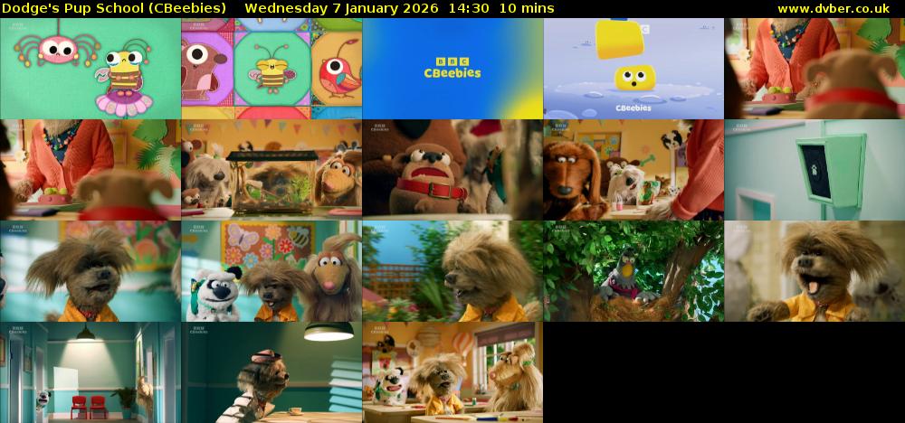 Dodge's Pup School (CBeebies) Wednesday 7 January 2026 14:30 - 14:40