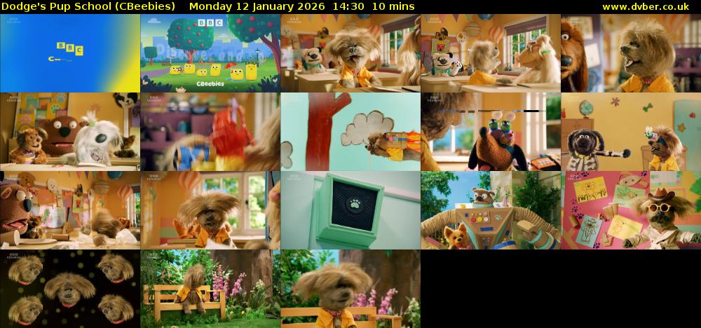 Dodge's Pup School (CBeebies) Monday 12 January 2026 14:30 - 14:40