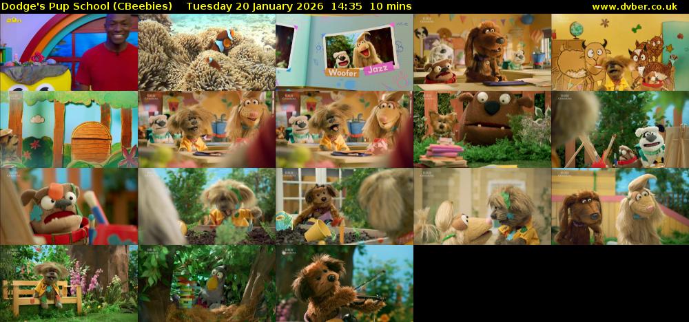 Dodge's Pup School (CBeebies) Tuesday 20 January 2026 14:35 - 14:45