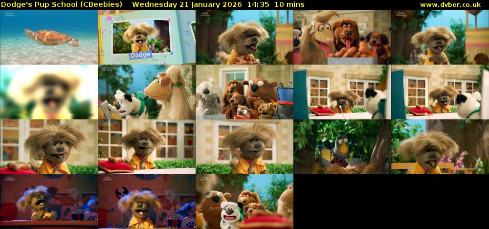 Dodge's Pup School (CBeebies) Wednesday 21 January 2026 14:35 - 14:45