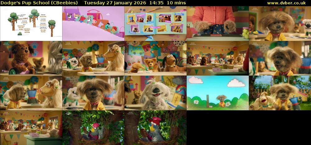 Dodge's Pup School (CBeebies) Tuesday 27 January 2026 14:35 - 14:45