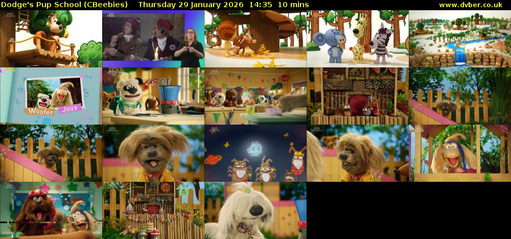 Dodge's Pup School (CBeebies) Thursday 29 January 2026 14:35 - 14:45