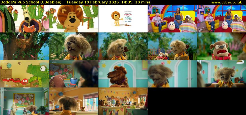 Dodge's Pup School (CBeebies) Tuesday 10 February 2026 14:35 - 14:45