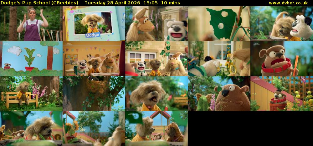 Dodge's Pup School (CBeebies) Tuesday 28 April 2026 15:05 - 15:15