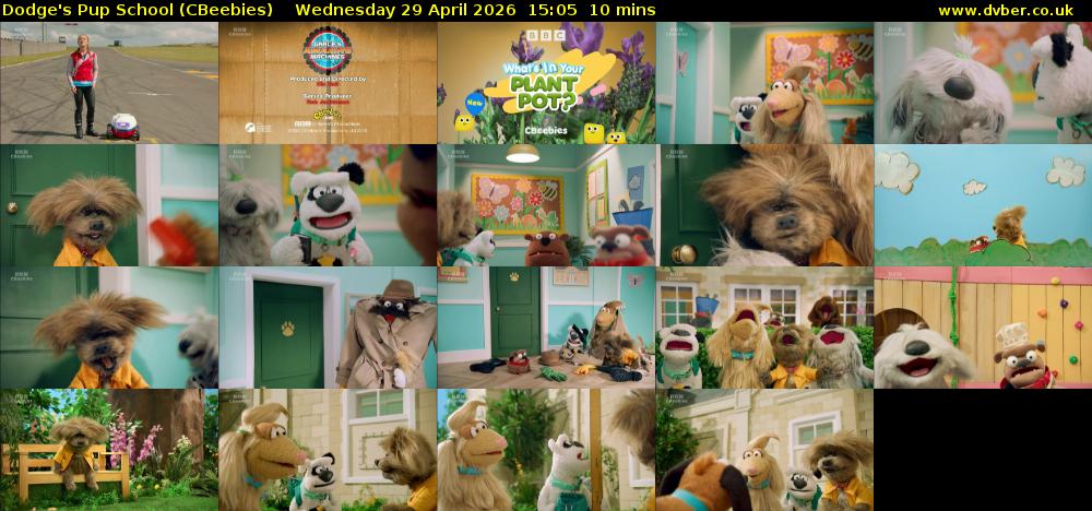 Dodge's Pup School (CBeebies) Wednesday 29 April 2026 15:05 - 15:15