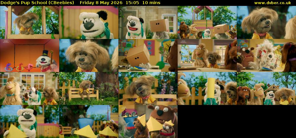 Dodge's Pup School (CBeebies) Friday 8 May 2026 15:05 - 15:15