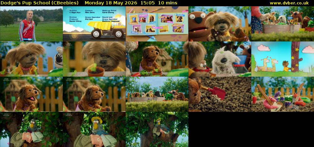 Dodge's Pup School (CBeebies) Monday 18 May 2026 15:05 - 15:15
