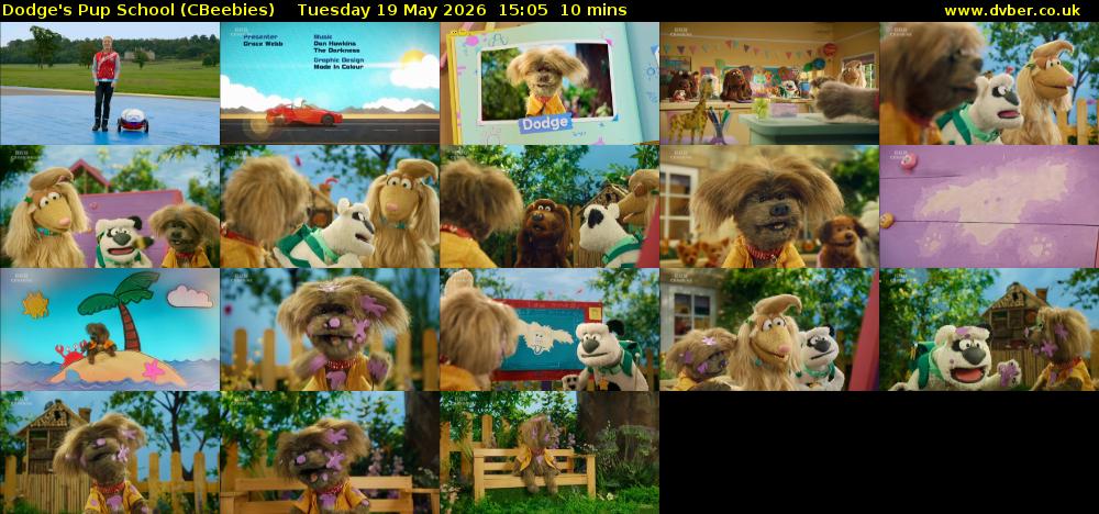 Dodge's Pup School (CBeebies) Tuesday 19 May 2026 15:05 - 15:15
