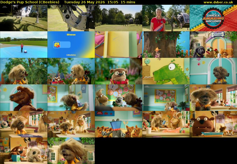 Dodge's Pup School (CBeebies) Tuesday 26 May 2026 15:05 - 15:20
