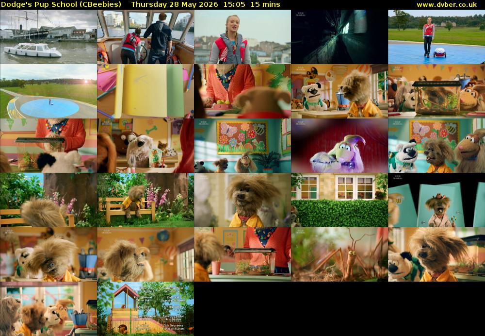 Dodge's Pup School (CBeebies) Thursday 28 May 2026 15:05 - 15:20