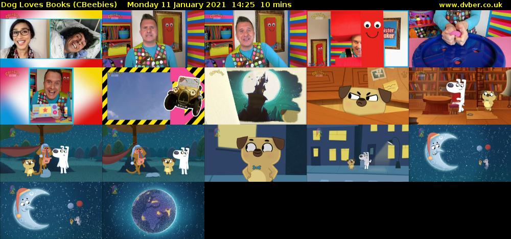 Dog Loves Books (CBeebies) Monday 11 January 2021 14:25 - 14:35