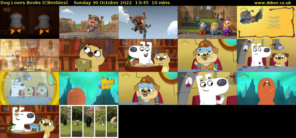 Dog Loves Books (CBeebies) Sunday 30 October 2022 13:45 - 13:55