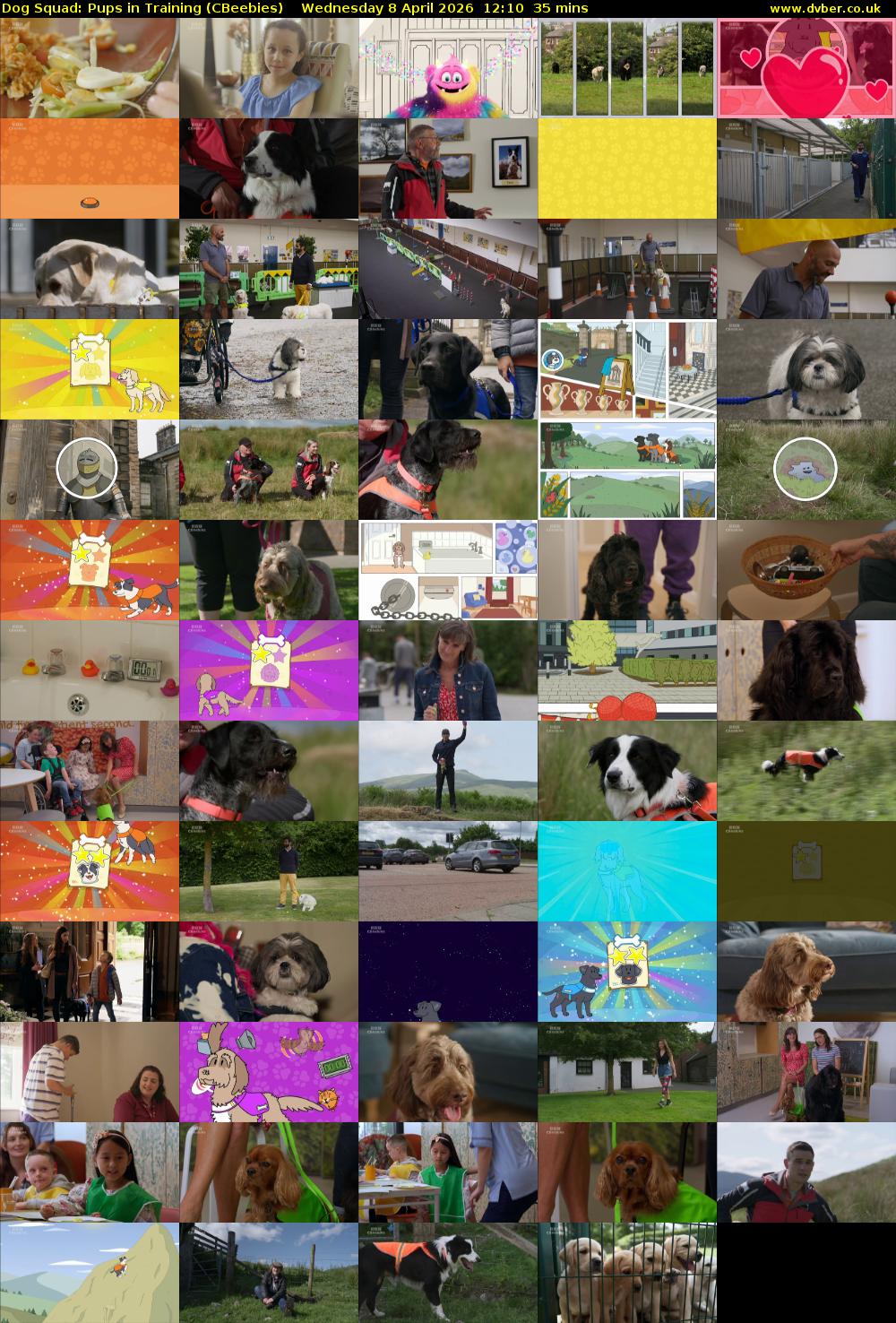 Dog Squad: Pups in Training (CBeebies) Wednesday 8 April 2026 12:10 - 12:45