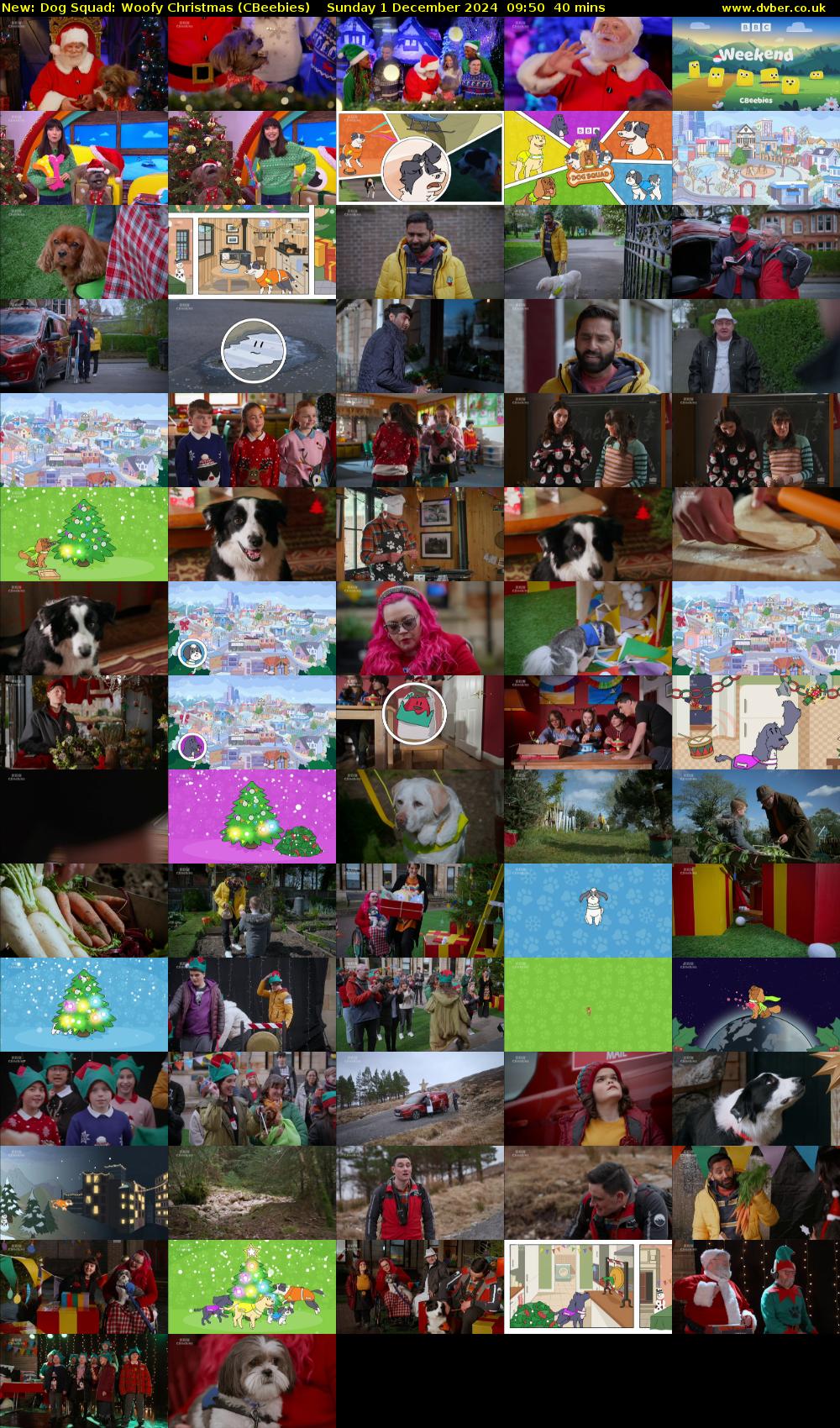 Dog Squad: Woofy Christmas (CBeebies) Sunday 1 December 2024 09:50 - 10:30
