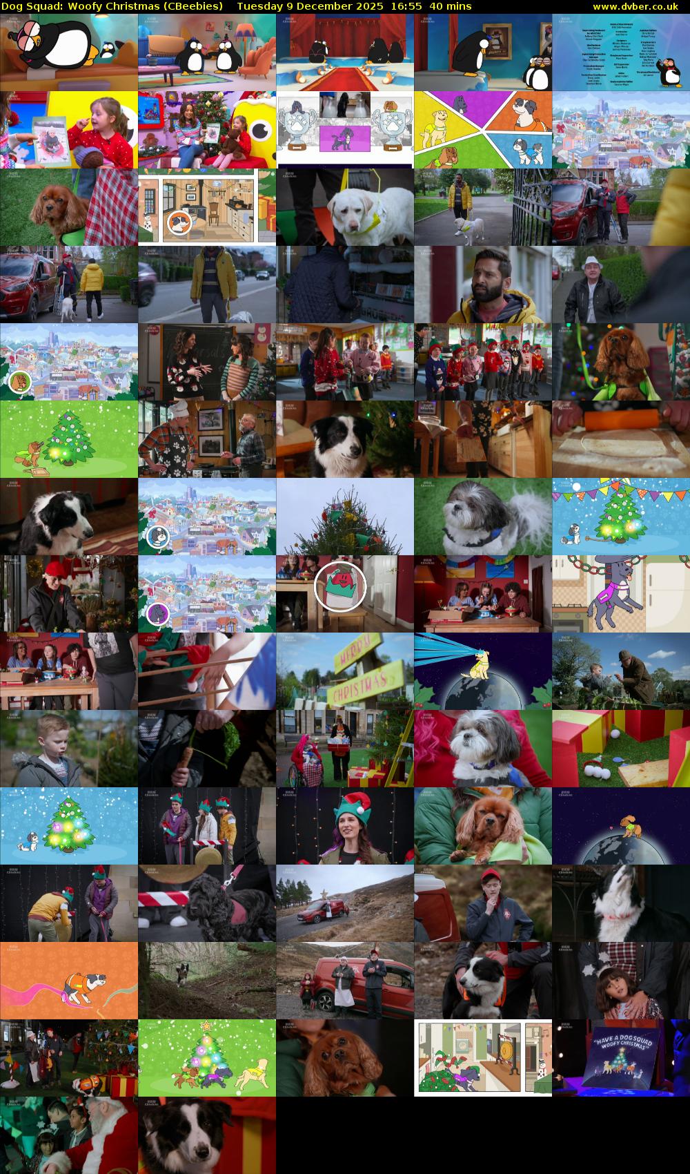 Dog Squad: Woofy Christmas (CBeebies) Tuesday 9 December 2025 16:55 - 17:35