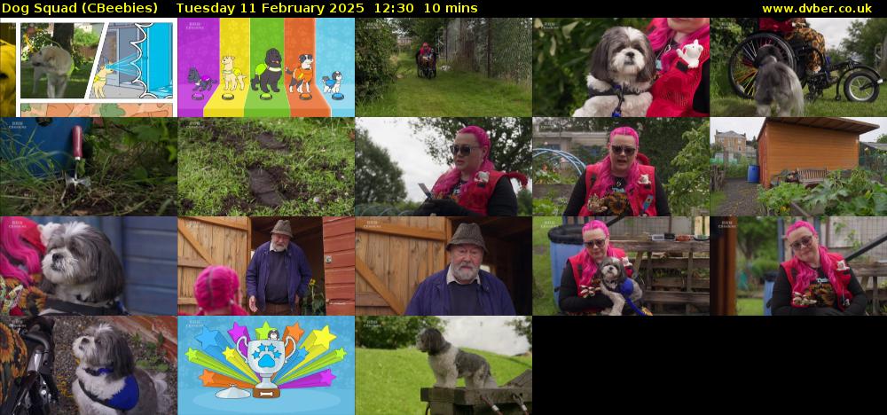 Dog Squad (CBeebies) Tuesday 11 February 2025 12:30 - 12:40