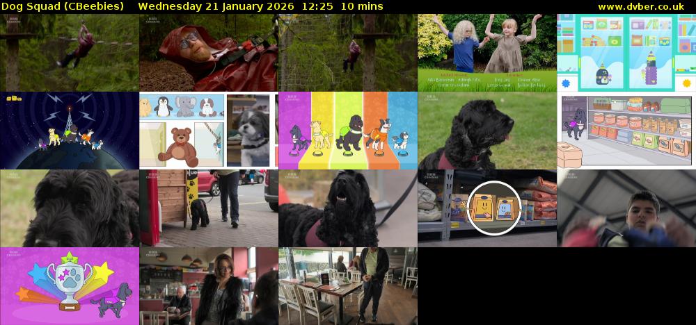 Dog Squad (CBeebies) Wednesday 21 January 2026 12:25 - 12:35