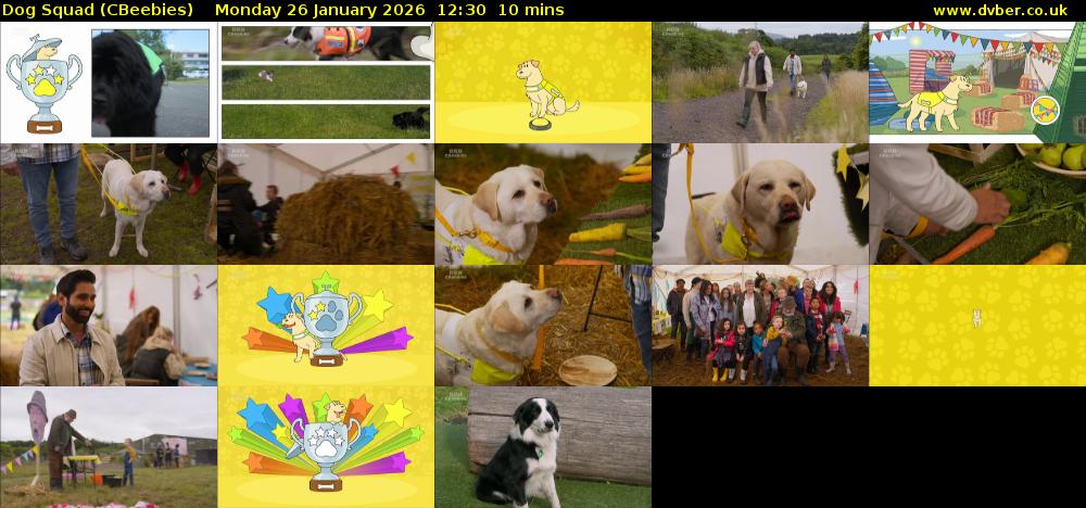 Dog Squad (CBeebies) Monday 26 January 2026 12:30 - 12:40