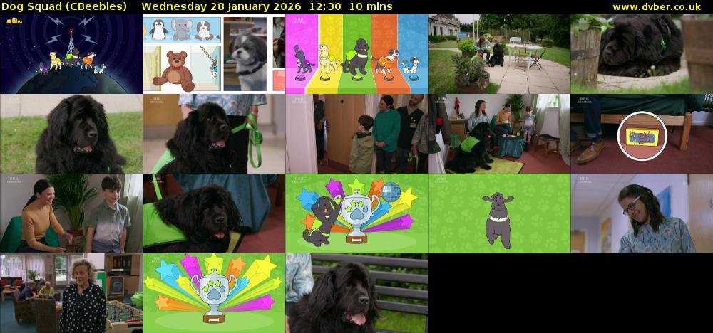 Dog Squad (CBeebies) Wednesday 28 January 2026 12:30 - 12:40