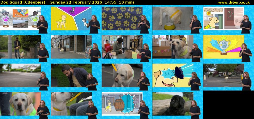 Dog Squad (CBeebies) Sunday 22 February 2026 14:55 - 15:05