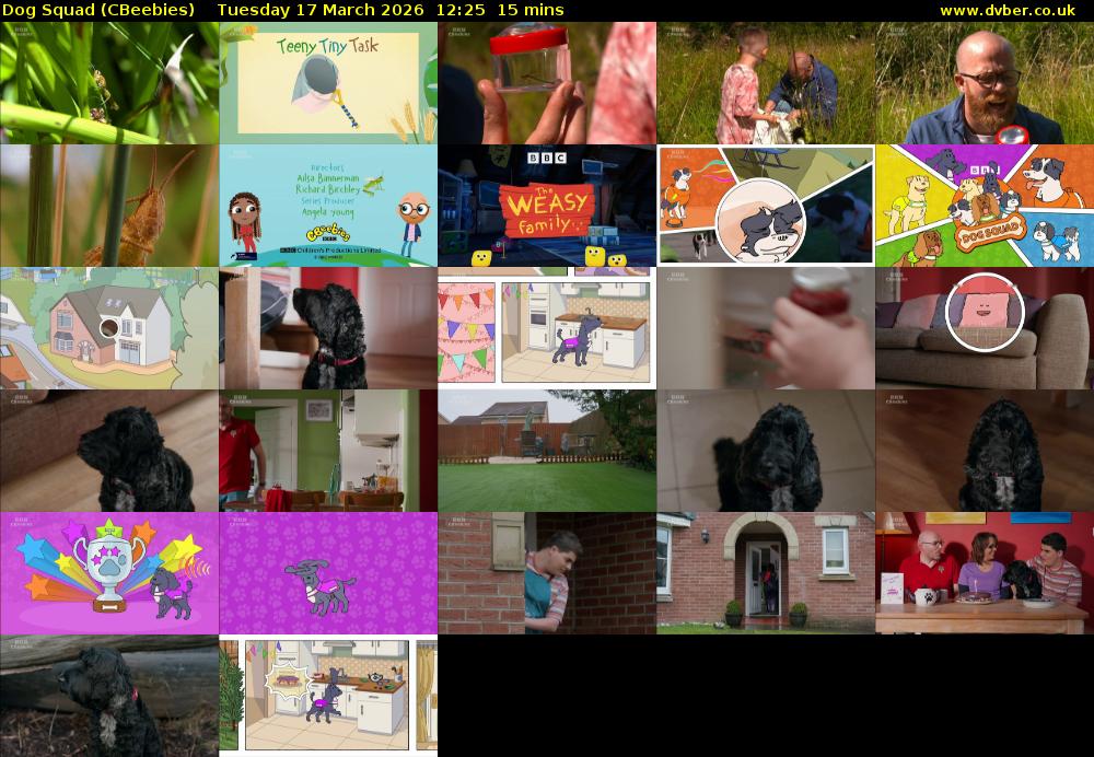 Dog Squad (CBeebies) Tuesday 17 March 2026 12:25 - 12:40