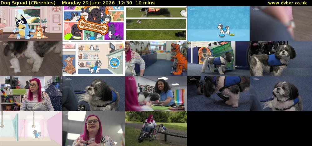 Dog Squad (CBeebies) Monday 29 June 2026 12:30 - 12:40